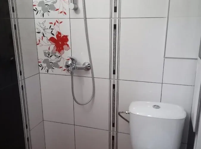 Vicente Золотые Пески