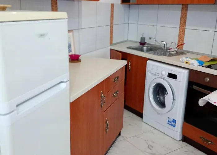 Vicente * Золотые Пески