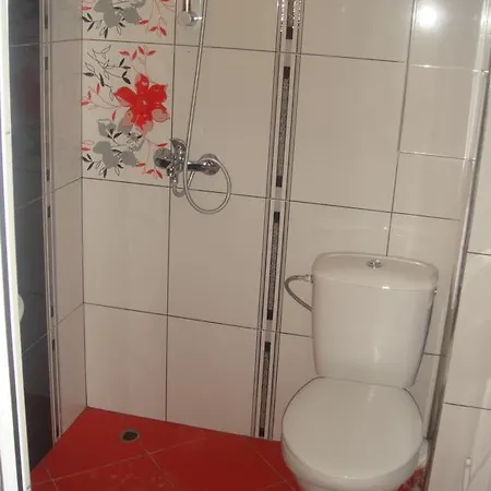 Vicente Nisipurile de Aur